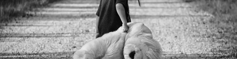 ילדה מחזיקה דובי